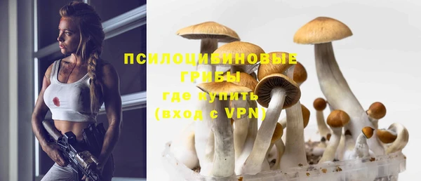 героин Дмитриев