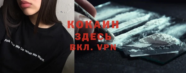 дживик Дмитров