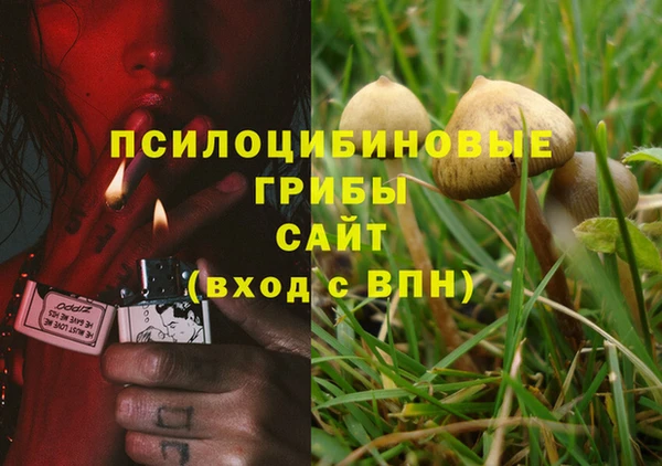 ешки Дмитровск
