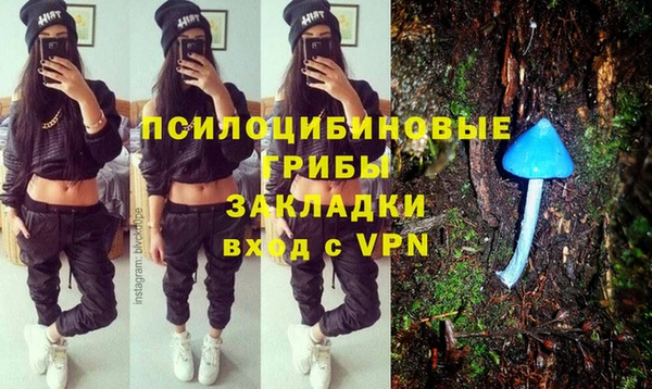 дживик Дмитров