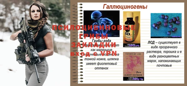 ешки Дмитровск