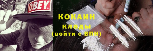 дживик Дмитров