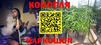 МДПВ Моздок