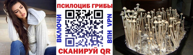 Галлюциногенные грибы Cubensis  MEGA вход  Сызрань 