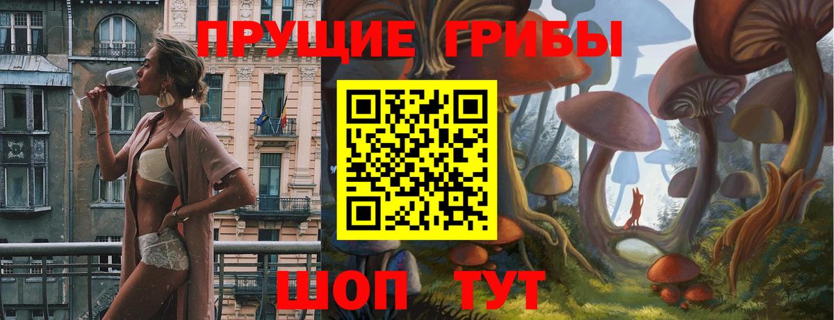 Псилоцибиновые грибы Psilocybine cubensis  Вход с VPN  Сызрань  Псилоцибиновые грибы Cubensis 
